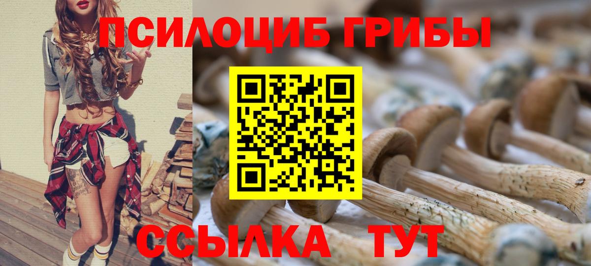 Томск  где можно купить   Вход с VPN  Псилоцибиновые грибы мицелий 